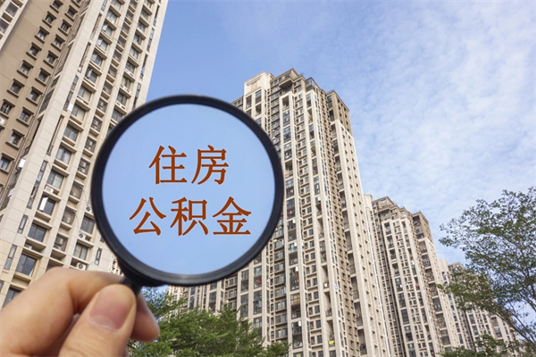 神农架深圳公积金（深圳公积金首页）